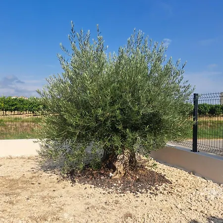 Villa D'artistes Malras